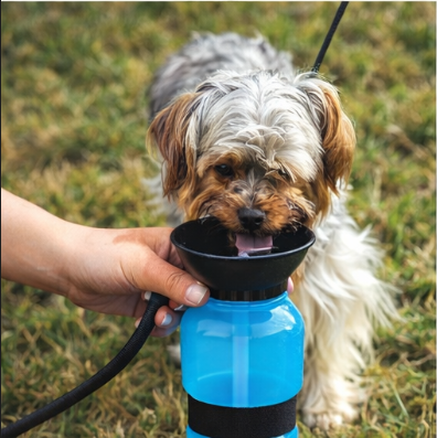 Portable Pet Water Bottle with Built-In Bowl - 600ml